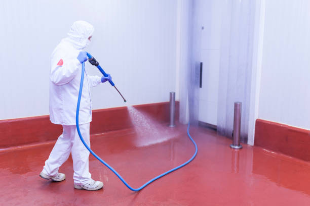 Best Soft Washing  in Farmland, IN