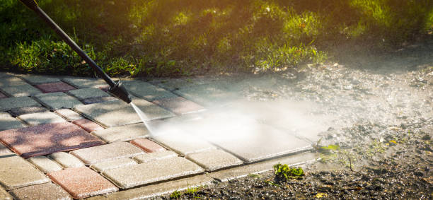 Best Fence Cleaning  in Farmland, IN