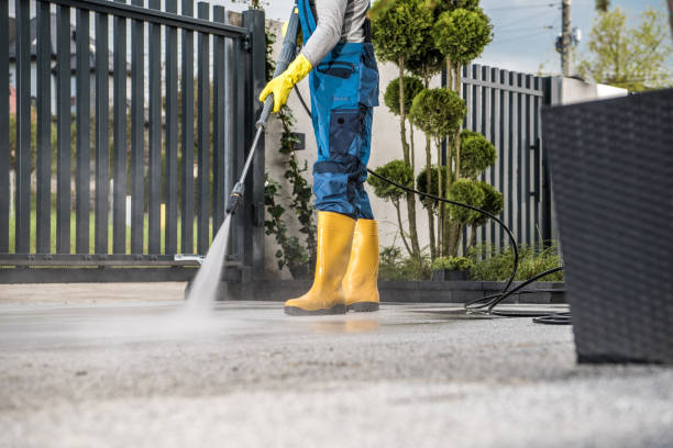 Best Sidewalk and Walkway Cleaning  in Farmland, IN