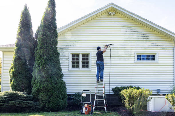 Best Dumpster Area Cleaning  in Farmland, IN